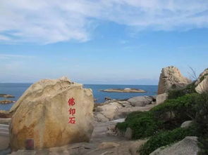 红海湾美食大揭秘：2026年最新踩坑指南