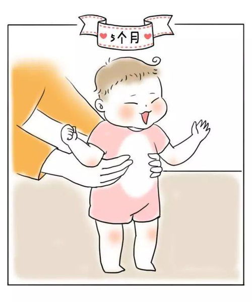 健康问题的根源