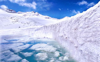 车轮上的迷雾：当距离查询成为救命稻草