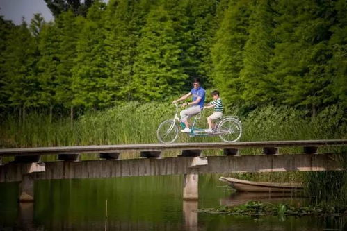 二、 必打卡景点（随手写的，不保证顺序）