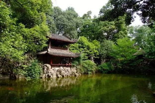 1. 迷路者的天堂：那些导航都会哭泣的秘境