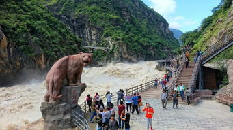 美到窒息？不！是美到复活！