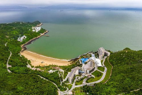 定海出发——混乱开场