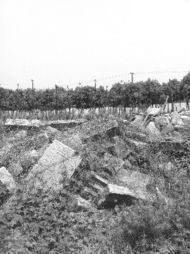 2）文化底蕴符号