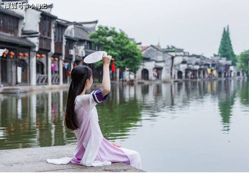 夏季——热浪滚滚、荷塘月色（还有蚊子）