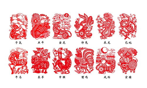 今天十二生肖财运走势分析抖音视频预示财运是什么意思？
