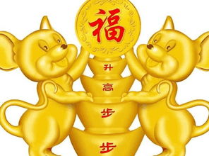 解梦与财运的深厚层解读