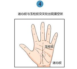 手相全息,全息掌纹kan风水吗