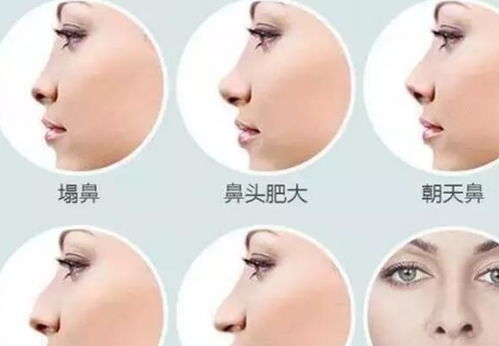 鼻子的秘密：你以为只是呼吸用的？太天真了！