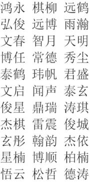 除了这些“经典”组合之外…还有更多可能性哦！（别害怕尝试！）