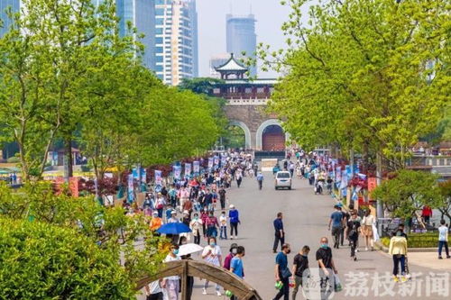 一、  别样春光，厦门这片土地的躁动