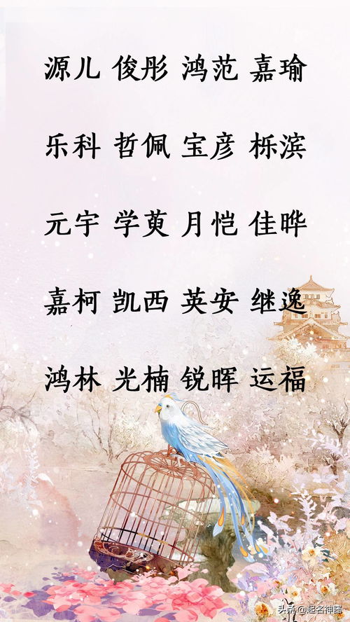 一、 起名的苦恼与炎热闹
