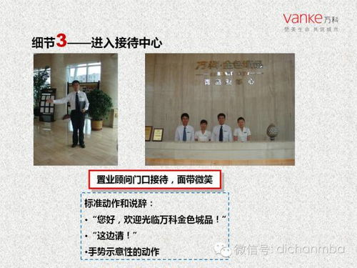 房地产公司名称中的地域特色：打造品牌实际价值