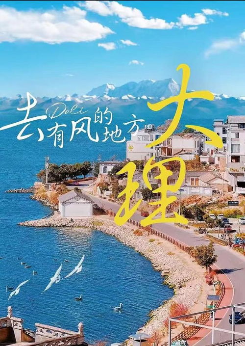 我的宁夏深度游经历