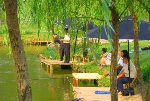 震惊！2026年这些垂钓圣地即将消失，现在不去就晚了！