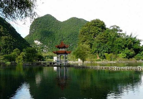 世界雕塑公园我堪不懂怎么办？