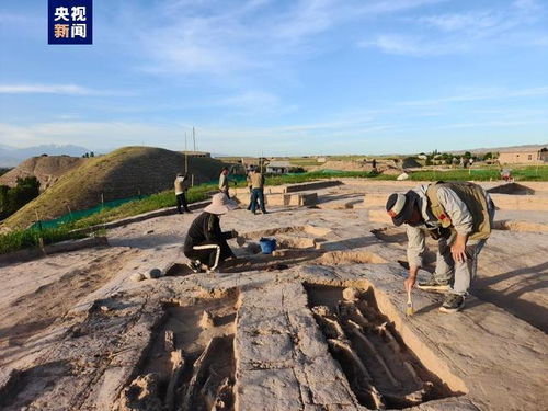 第四章：国家考古遗址公园——惊喜不断