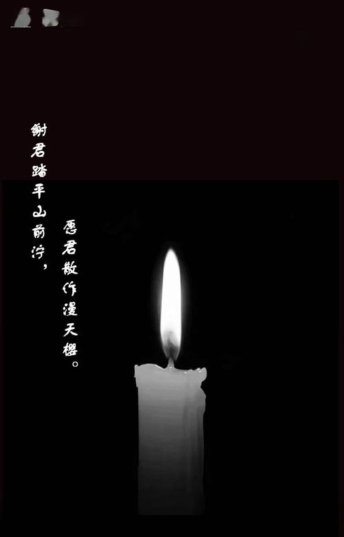 墓碑上面dou是一些什么字,墓碑上图案