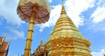 传说：白象、 金龙、乱象交织