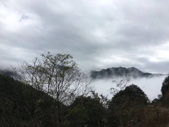 #噪声# 碎碎念：旅行碎片（随机）