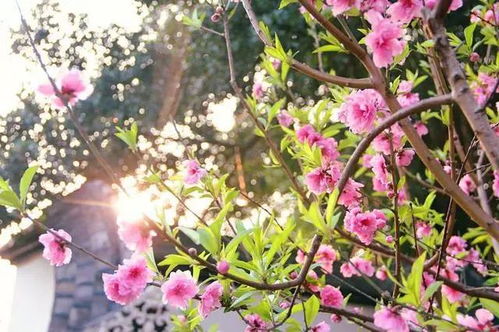 半夜11点到凌晨1点（子时）