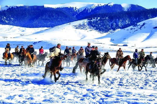 到底多少钱啊？心累的开场白