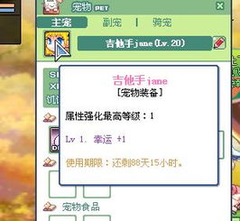 第一站：入口镇——误打误撞的“集市”