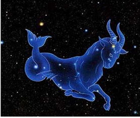 金星摩羯是什么鬼？能吃吗？