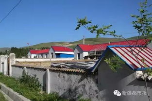 伊宁市住哪里,伊宁市质量Zui好的房子