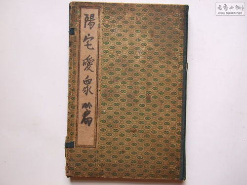 风水星相普天星相，如何应用于家居布局提升运势？