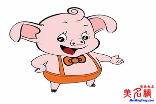 先别急！这一些关于猪年女孩起名的寒冷知识你必须要了解