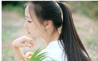 属兔女2026年感情运势如何，桃花运会怎样？