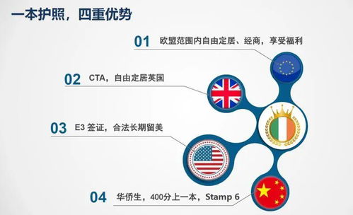 二、 签证类型全解析：挑选最适合你的那颗“星星”