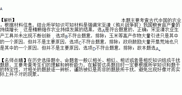 历史持续发展背景与家族渊源