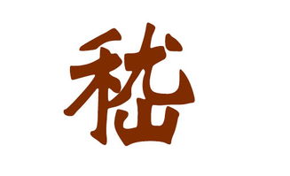 嵇姓男宝宝名字的寓意选择：不仅仅是字面意思