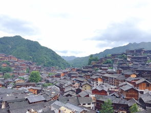 血泪史：导航害我迷路