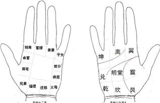 手相中各宫位对应的纹路分别代表什么？