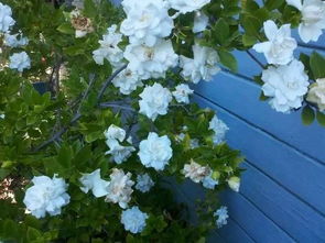 星座与风水的跨界碰撞