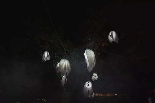 第一章：深厚夜的呼唤与玄学的低语