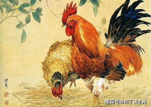 2026年属鸡的人会否迎来大爆发，实现财运亨通？