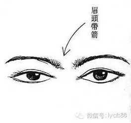 二、眼睛——大眼睛=花钱狂魔？（噪声）