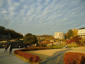 2. 梨花女子较大学——校园里的拍照圣地+学霸气氛