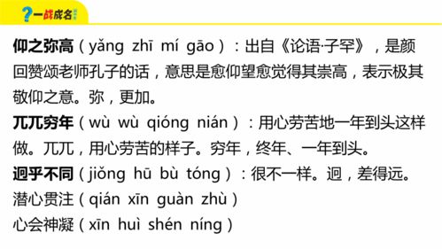 序章：谁说取名接龙必须要严肃？先来一段乱七八糟的自白