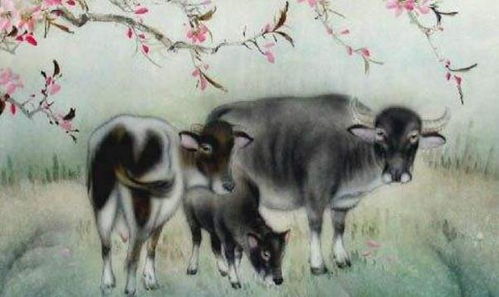 73年属牛女性今年婚姻运势如何，有何宿命影响？