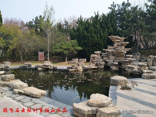三、基础乱搭：能立住就行