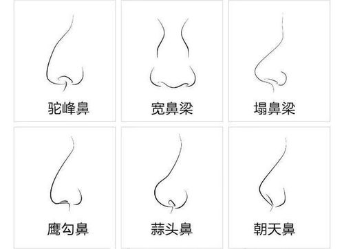 二﹑長頦(鷹勾鼻同款?)—正直卻總碰釘子の冤種代表