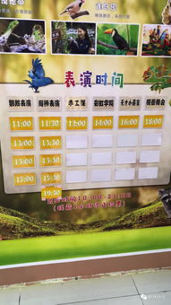 购票攻略