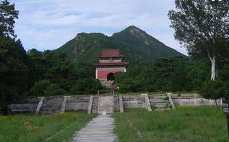 五、实地勘察——把脚踩进泥土前先搞清楚这些事！👣🌱🌏