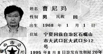第三组：当代父母的独特见解