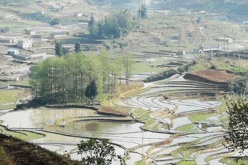 一、五一假期，自驾游成都，你准备好了吗？这不仅仅是一次旅行，这是一场逃离！